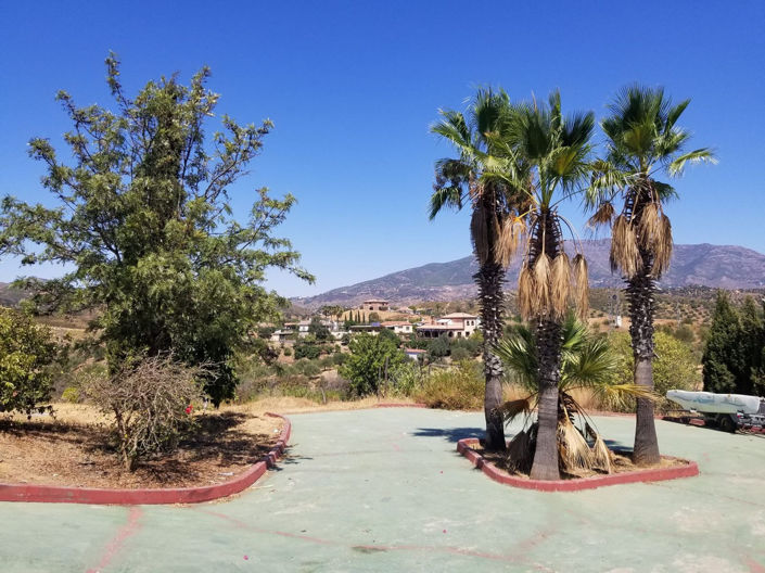 Image No.38-4 Bed Finca for sale