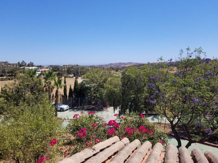 Image No.44-4 Bed Finca for sale