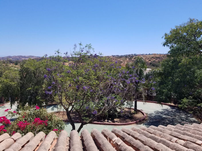 Image No.45-4 Bed Finca for sale