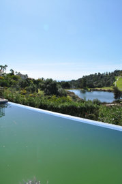 b98le8d7m9k3degpefzhs0lif8u4xzvzhwxtmggyekxx9