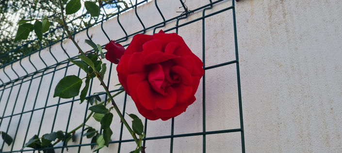 Image No.24-Villa de 4 chambres à vendre à Estepona