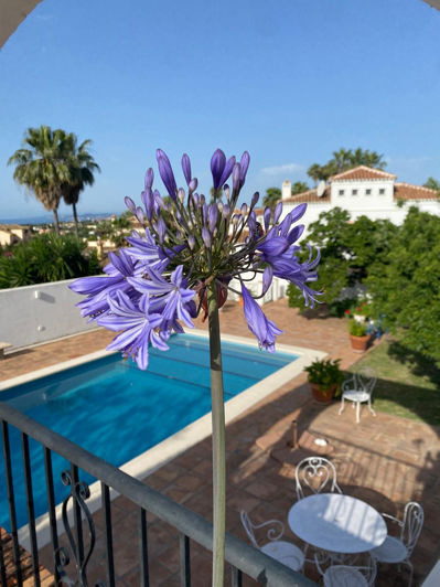 Image No.26-4 Bed Villa for sale