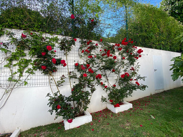 Image No.29-Villa de 4 chambres à vendre à Estepona