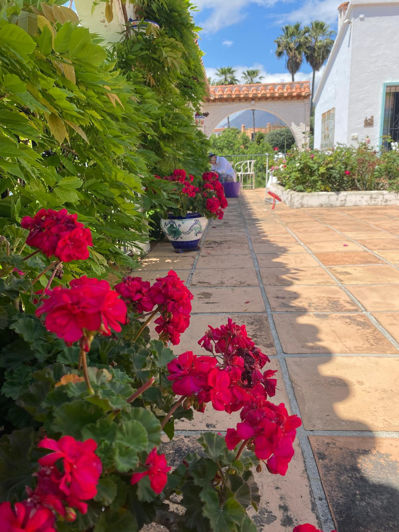 Image No.34-Villa de 4 chambres à vendre à Estepona