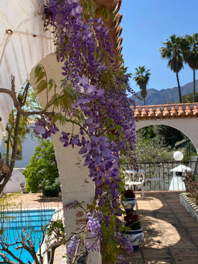 Image No.36-Villa de 4 chambres à vendre à Estepona