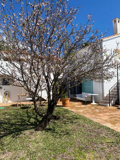 Image No.43-4 Bed Villa for sale