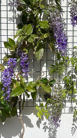 Image No.47-Villa de 4 chambres à vendre à Estepona