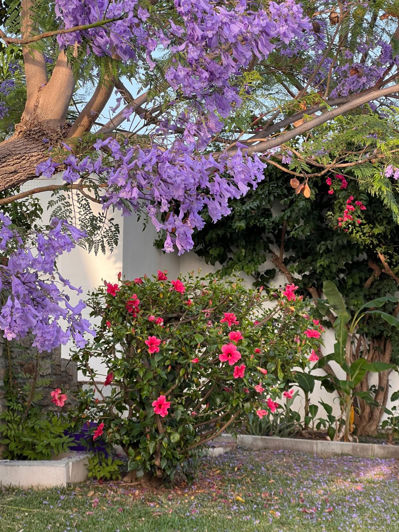 Image No.49-Villa de 4 chambres à vendre à Estepona