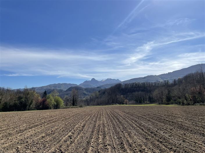 Image No.12-Property for sale