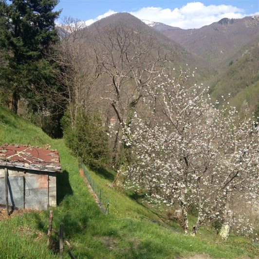 Image No.19-Propriété de 2 chambres à vendre à Barga