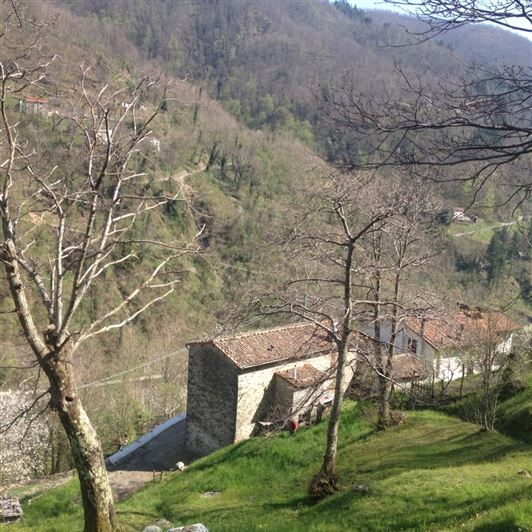 Image No.18-Propriété de 2 chambres à vendre à Barga