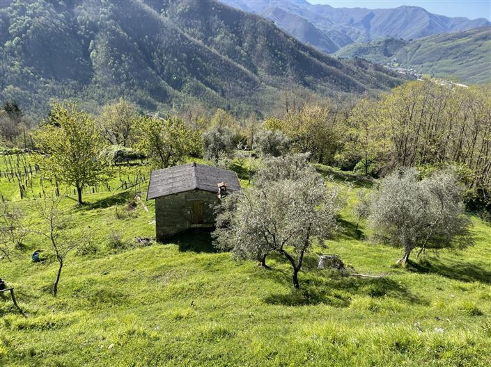 Image No.3-Propriété de 2 chambres à vendre à Coreglia Antelminelli