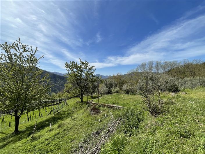 Image No.5-Propriété de 2 chambres à vendre à Coreglia Antelminelli