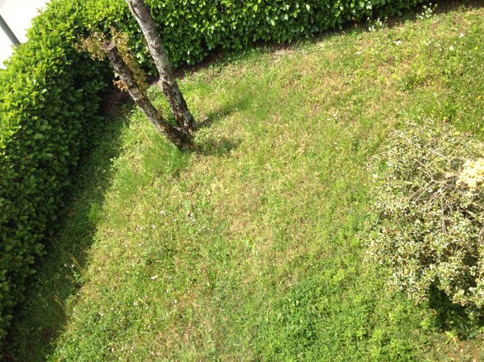 Image No.4-Propriété de 4 chambres à vendre à Barga