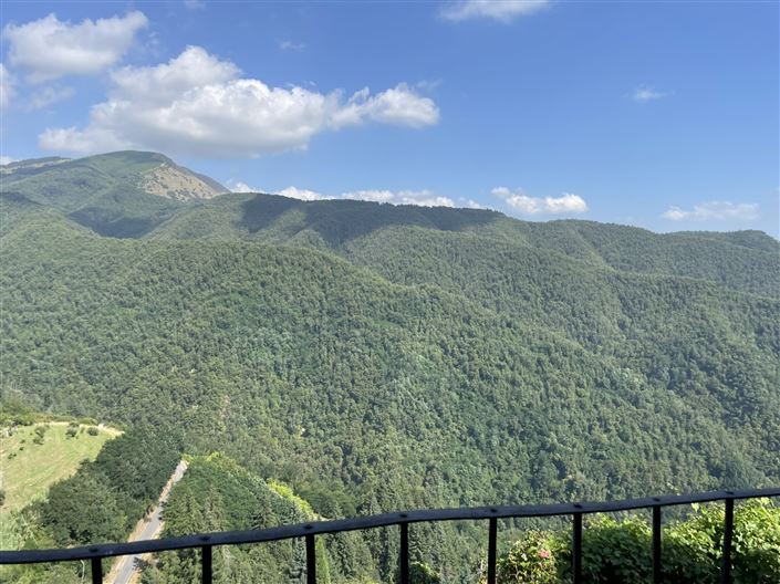 Image No.9-4 Bed House for sale