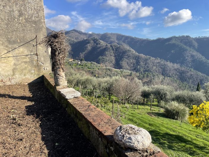 Image No.6-Propriété de 3 chambres à vendre à Lucca