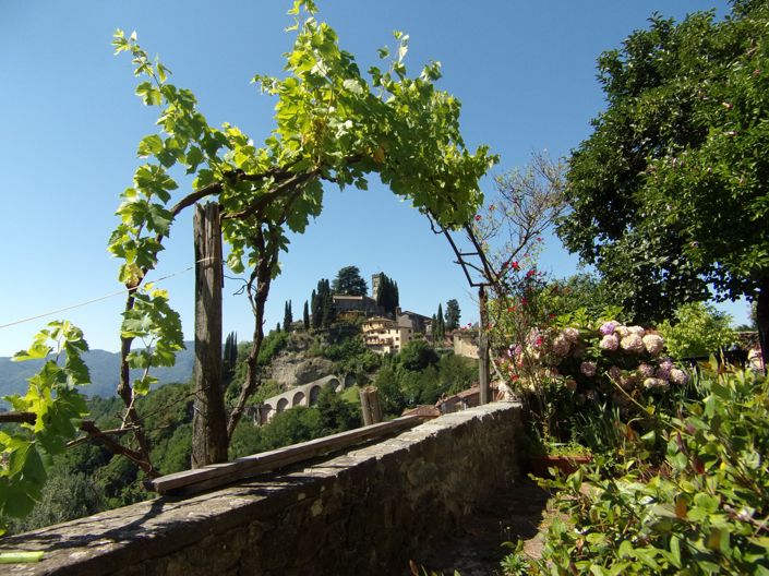 Image No.18-Propriété de 5 chambres à vendre à Barga