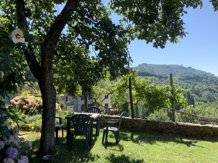 Image No.19-Propriété de 5 chambres à vendre à Barga