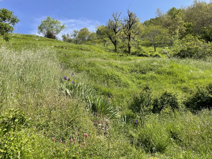 Image No.13-Propriété de 3 chambres à vendre à Lucca