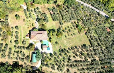 dji0103
