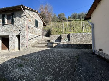 img7163