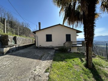 img7144