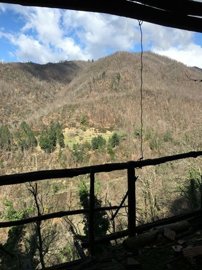 8a7550c73c03d6f0484c5db8feef69f3