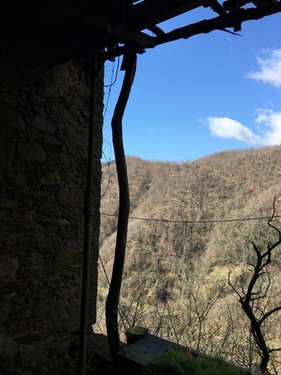 Image No.3-Propriété à vendre à Coreglia Antelminelli