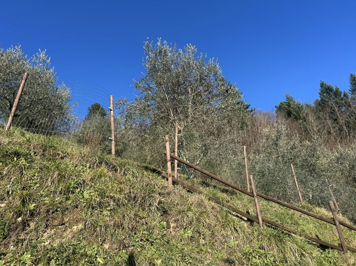 Image No.17-Property for sale