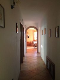 foto91088782
