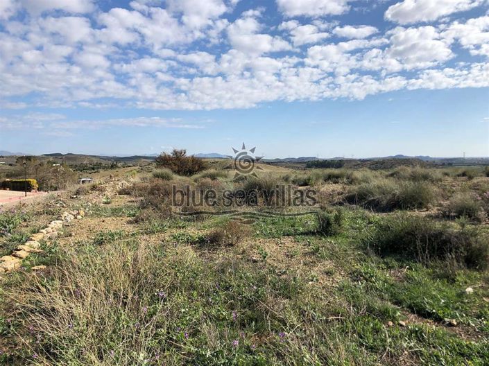 Image No.2-Terre à vendre à Los Gallardos