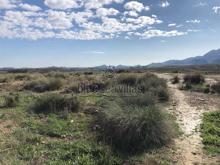 Image No.3-Terre à vendre à Los Gallardos