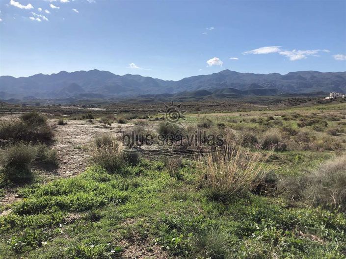 Image No.4-Terre à vendre à Los Gallardos