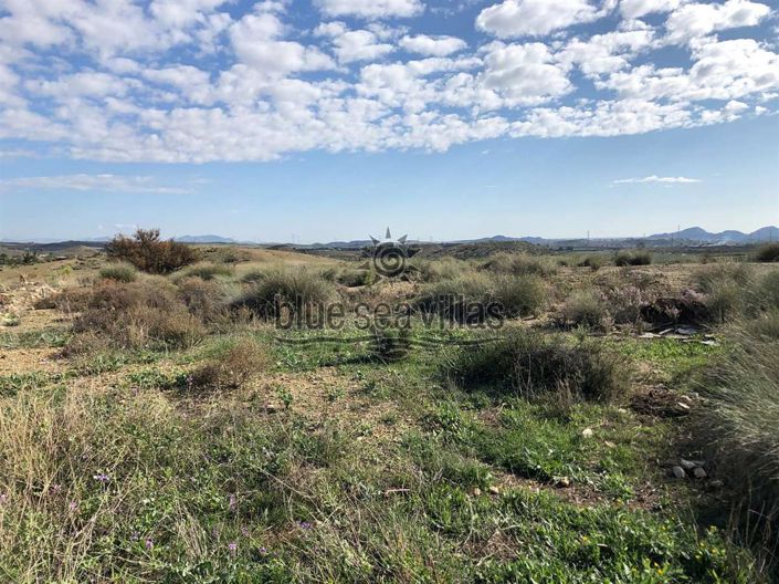 Image No.5-Terre à vendre à Los Gallardos