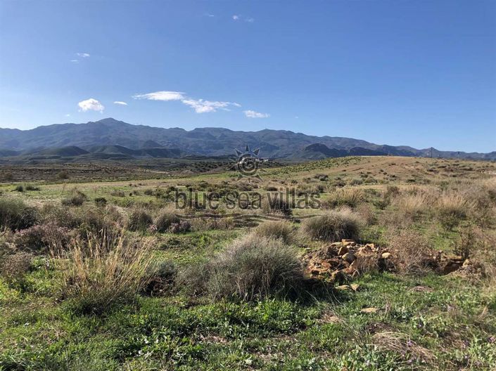 Image No.6-Terre à vendre à Los Gallardos