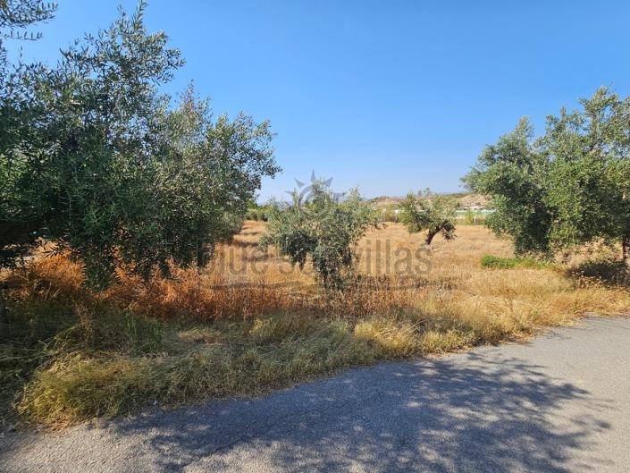 Image No.26-7 Bed Farmhouse for sale