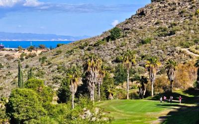 Terrace---outside-areas-1507_opt