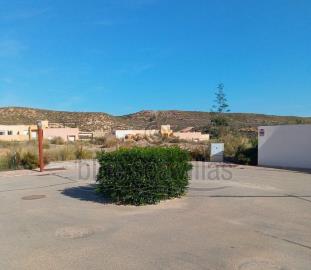 WhatsApp-Image-2023-12-01-at-21-16-04--1-_opt