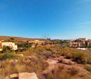 WhatsApp-Image-2023-12-01-at-21-16-05_opt