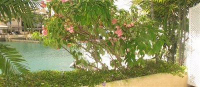 Propriété de 1 chambre à vendre à St Peter