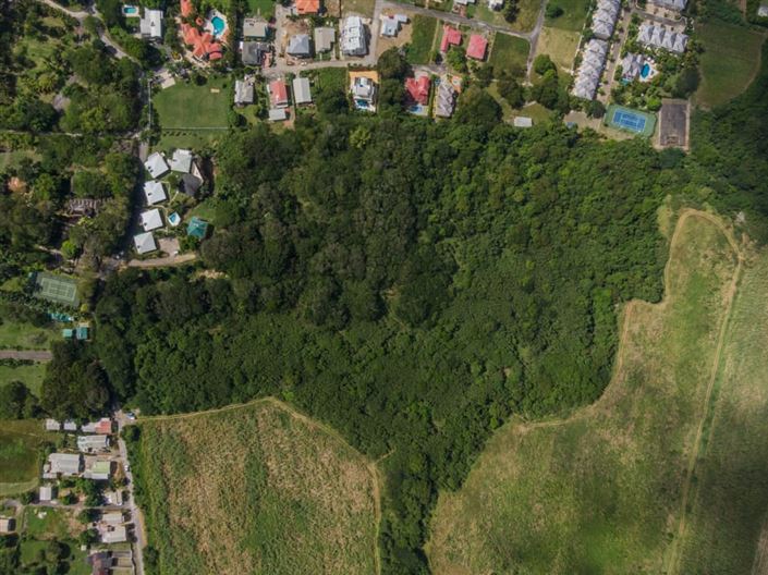 Image No.5-Terre à vendre à St Peter