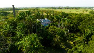 DJI_0334