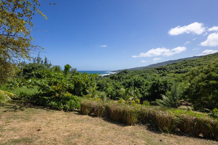 Image No.4-Land for sale