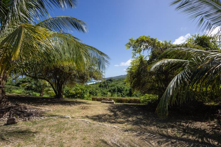 Image No.3-Land for sale