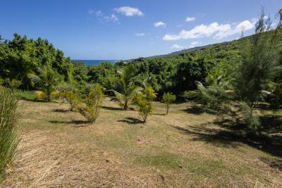 EastCoastLandLot-7
