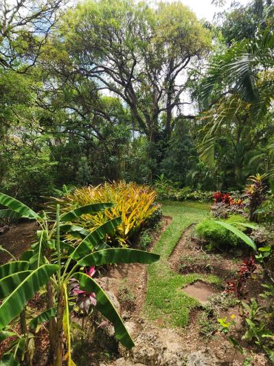 Image No.52-4 Bed Villa for sale