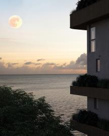 2025-12-22_CG_Barbados_closeup-evening_LR