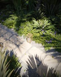 2023-12-20_CG_Barbados_path_closeup_with_candle_LR