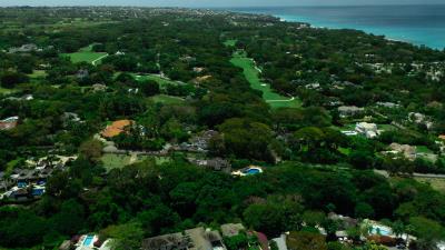 sle-monkeys-run-panoramic-surroundings