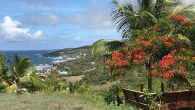 atlantic-park-lot-58-st-joseph-view